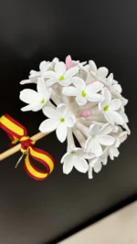 Biznaga grande de porcelana de la Virgen del Carmen de los Submarinistas - Imagen 4